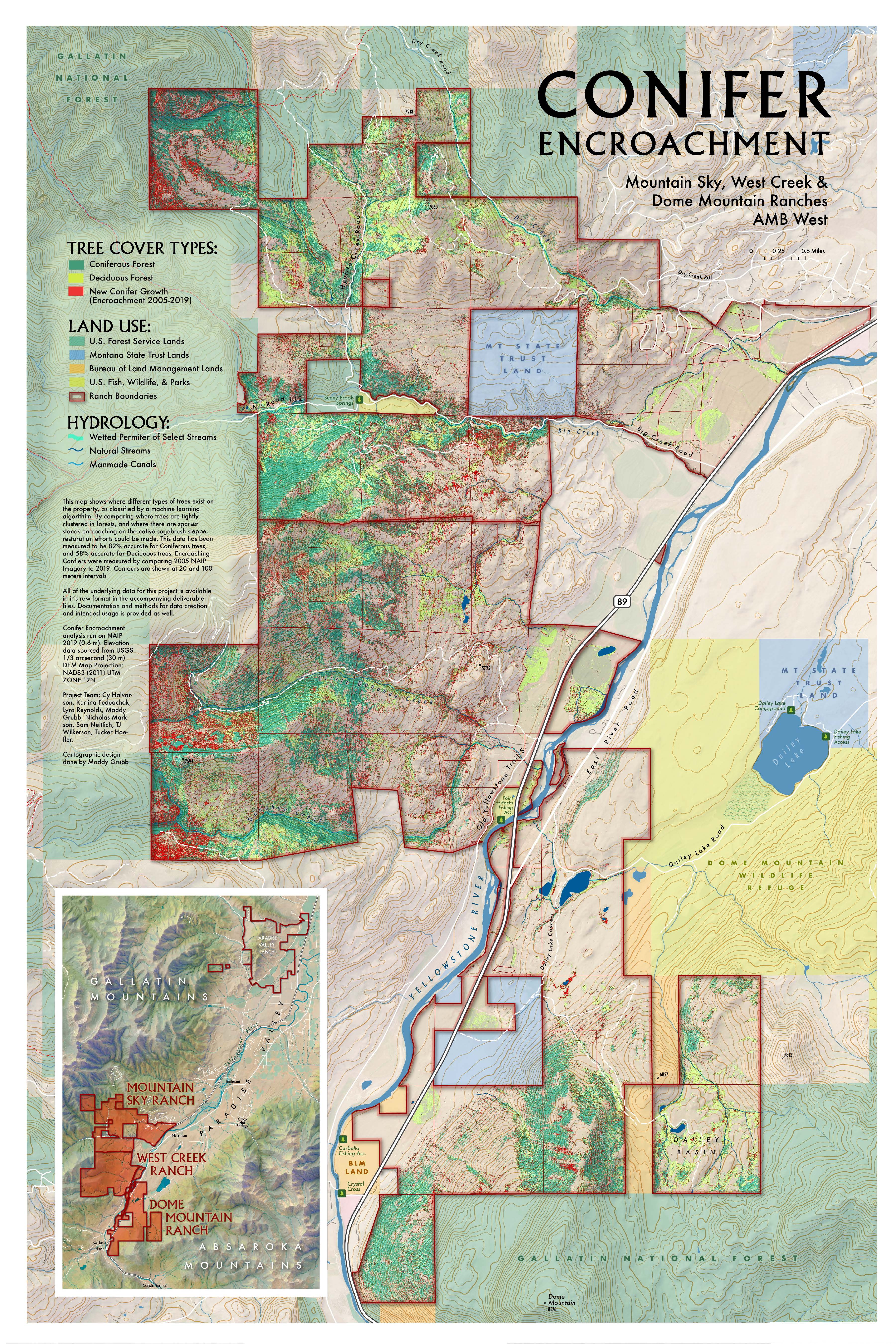 South Conifer Encroachment